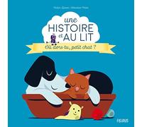 ÉDITIONS FLEURUS-Le livre " Une histoire et au lit où dors tu petit chat ? " aux Éditions Fleurus