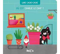 Où est Charlie le chat ?