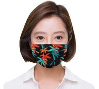 Ou Est le Swimming Pool - Golden Year [Import]