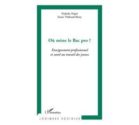 Où mène le Bac pro ? Enseignement professionnel et santé au travail des jeunes - Annie Thebaud-Mony - L'harmattan - broché - Essai