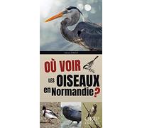 Où voir les oiseaux en Normandie ?