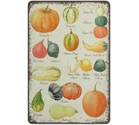 Oudrspo Affiche en métal représentant une citrouille, motif récolte, automne, Thanksgiving, variétés, nouveauté, rétro, ferme, bar, pub, club, café, cadeau pour femmes et hommes, 20 x 30 cm