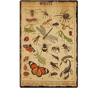 Oudrspo Affiche vintage en métal et aluminium représentant des insectes Starotore, encyclopédie des insectes, ferme, enfants, apprentissage, 20 x 15 cm, décoration murale