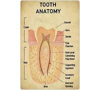 Oudrspo Anatomie des dents Races de canards Plaques en métal Connaissances sur les canards Affiches Agriculteurs Maison Science Décoration murale Ferme Cour Plaque Décoration 8x12 pouces
