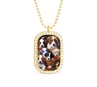 Oudrspo Collier personnalisé avec pendentif rectangulaire en forme de chien mignon dans un panier pour femme, bijoux tendance, cadeaux, or et argent