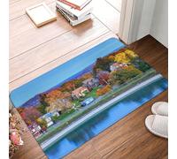 Oudrspo Syracuse est Une Ville et Le Chef-Lieu du comté. Tapis d'entrée résistant et Doux, Tapis de Bienvenue, Semelle en Caoutchouc pour intérieur et extérieur, 40 x 60 cm.