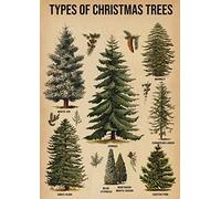Oudrspo Types d'arbres de noël, signes en métal en étain, rétro, Guide des races d'arbres de noël, poseurs, salle de fête de noël, décoration murale de maison, Plaque 12x16 pouces