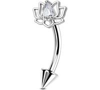 OUFER Body Piercing 16G Rook Earring 316L Stainless Steel Curved Barbell Piercing for Women Men Helix Daith Tragus Ear Lip Eyebrow Belly Rings Labret Piercing Jewellery