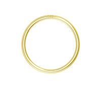 OUFER Body Piercing Nose Ring Hoop 20G Gold Nose Ring Hinged Segment Helix Lip Rings Thin Nose Hoop Piercing Cartilage Daith Rook Tragus Conch Earrings Jewellery