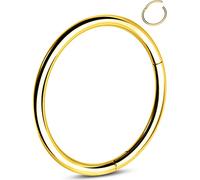 OUFER G23 Titanium Nose Ring Clicker Hoop Cartilage Earrings Silver Gold Helix Piercing Jewellery 20G Daith Rook Conch Hinged Nostril 0.8mm for Men Women Gift