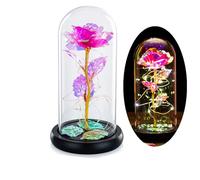 ougiver Kit de roses en acrylique dans un dôme en acrylique - Lumière enchantée - Cadeau idéal pour elle, femme, fille, adulte, maman, pour la Saint-Valentin, la fête des mères, un anniversaire de