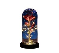 ougiver Kit de roses personnalisées dans un dôme en acrylique - Lumière enchantée - Cadeau idéal pour elle, femme, fille, maman, pour la Saint-Valentin, la fête des mères, un anniversaire de mariage