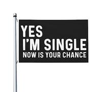 Oui, je suis célibataire, c'est maintenant votre chance, drapeau 3 x 5, drapeau vintage double face, bannière extérieure pour chambre de fille, 0,9 x 1,5 m, oui, je suis célibataire, c'est maintenant