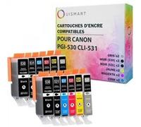 OuiSmart® Pack de 12 Cartouches compatibles avec Canon PGI-530 CLI-531 pour PIXMA TS8750 et Pixma TS8751 Multicolore G
