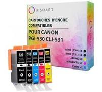 OuiSmart® Pack de 5 Cartouches compatibles avec Canon PGI-530 CLI-531 pour PIXMA TS8750 et Pixma TS8751 Multicolore G