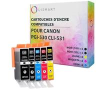 OuiSmart® Pack de 5 Cartouches compatibles avec Canon PGI-530 CLI-531 pour TS8750 et TS8751