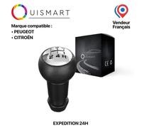 OuiSmart® POMMEAU LEVIER VITESSE MANUEL CHROME POUR PEUGEOT 106 206 306 406 107 207 307 407