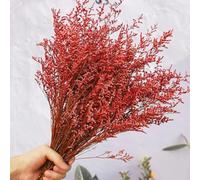 OUKEYI Bouquet d'herbe naturelle préservée de 43,2 cm, caspia bellidifolio fraîche, lavande de mer, fleurs d'haleine de bébé, pour anniversaire de mariage, décoration d'intérieur, Saint-Valentin,