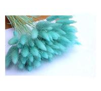 OUKEYI Décoration d'intérieur Lagurus Ovatus - Queue de lapin - Fleurs séchées - Véritables fleurs éternelles - Bouquet de fleurs séchées - Matériau naturel - Accessoires de tir - Fleurs séchées (bleu