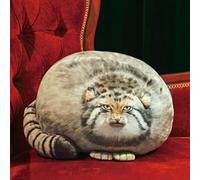 OUKEYI Kawaii Coussin en peluche rembourré 45 cm mignon chat matelassé pour filles, garçons et amies