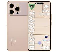 OUKITEL P1 Pro Téléphone Portable - 16GO RAM+256GO ROM/TF 2TO AMOLED 6.7" 120Hz FHD+ 50MP+32MP Android 15 MTK G100, 5150mAh 1080 * 2412, Smartphones Empreinte écran/Face ID/NFC/OTG/GPS/4G Dual SIM,Or