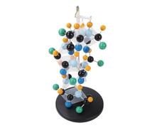 Oumefar Modèle Moléculaire de Protéines, Outil éducatif aux Couleurs Vives pour Salle de t Laboratoire, Kit de Structure en Plastique