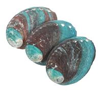 OUNONA 3 Pièces Bol Coquille Ormeau Naturel pour Brûlage Décoration Bord de Mer Portable et Lisse pour Kit de Purification et Affichage Maison Bureau