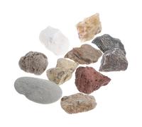 OUNONA Boîte De Collection De Et Kit Éducatif Pour Étudiants Avec Spécimens Divers Pour Enseignement Des Sciences Et Décoration De Bureau