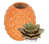 OUNONA Boîte De Rangement De Thé En Céramique Hermétique Forme Ananas Orange Couvercle, Organisateur Pour Thé En Vrac Et Aliments Secs, Décor De Maison Et Bureau