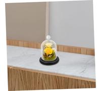 OUNONA Cloche Verre avec Base pour Fleurs Protection Décorative pour Gâteaux Desserts et Figurines Design Élégant et Pratique Couleur Aléatoire