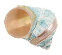 OUNONA Coquillage de conque naturel méditerranéen pour aquarium, artisanat de conque, spécimen de coquillage de collection, centre de table de festival nautique, ajoutez une touche côtière