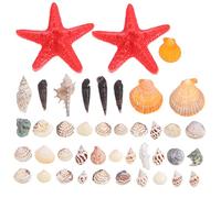 OUNONA Coquillages Naturels Et Escargots De Mer pour Décoration De Micropaysage Bricolage pour Aquarium Et Fournitures DIY