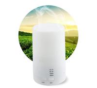 OUNONA Diffuseur D'aromathérapie et Humidificateur USB 125 ML, Diffuseur D'huiles Essentielles Ultrasonique, Compact et Silencieux pour Voiture, Maison, Bureau, Chambre Bébé, Relaxation et Bien-