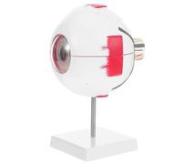 OUNONA Modèle Anatomique Œil Humain Agrandi avec Numéros Structure Détachable pour Éducation Patient et Enseignement Stem Laboratoire de Recherche