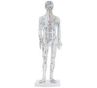 OUNONA Modèle Corporel D'acupuncture Médecine Chinoise Blanc en Plastique Points et Méridiens pour Formation en Acupuncture et Apprentissage Professionnel
