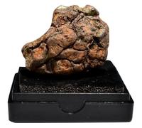 OUNONA Spécimen De Météorite Lithosidérite Authentique pour Matériel Pédagogique Éducatif Collecte Et Décoration Scolaire Morceau Irrégulier avec Certificat