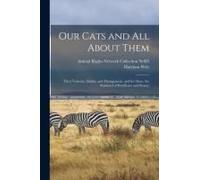 Our Cats And All About Them