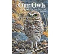 Our Owls: Burrowing Owls in Cesar Chavez Park, Berkeley