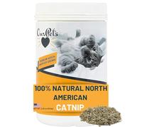 Our Pets Pot à Herbe à Chat Chat Herbes, 2,25 Oz