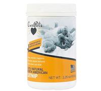 Our Pets Pot à Herbe à Chat Chat Herbes, 2,25 Oz