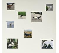 Our Souls Are in the Hands of the - An Era of Spiritual Tenebrae