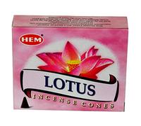 Ourlet Lotus Cônes