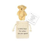 Ours de Poche Petit ami Longue Distance Je t'aime Cadeau Couple Relation Longue Distance Cadeau d'anniversaire pour Lui (we are Apart)