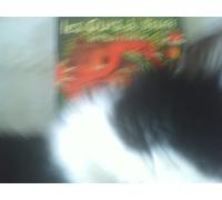 Ours du Scorff, Les - Le Plus mieux