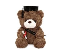 Ours en peluche avec chapeau de docteur, diplôme | Cadeau de remise de diplôme pour étudiants et diplômés, examen passé, doudou pour remise de diplôme et étude
