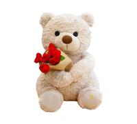 Ours en peluche - Ours romantique doux qui tient l'oreiller de tir de la fleur, jouet mignon de l'ours en peluche de la bande dessinée pour la Saint-Valentin, le mariage et le complice
