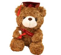 Ours en peluche pour diplôme - Cadeau de remise de diplôme de la classe 2022 | ours brun personnalisé, cadeaux d'études supérieures pour elle, pour lui, pour l'université, le lycée