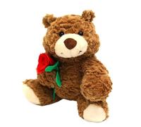 Ours en tissu pour la Saint-Valentin - Ours mignon avec | Cadeau d'ours en peluche de 9,45 pouces, doux plusheddy pour petite amie, couple, amoureux, cadeau d'amour romantique pour maman et
