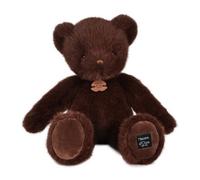 Ours histoire d'ours marron