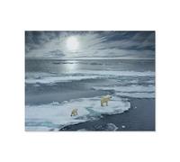 Ours Polaire avec Son Petit sur Une banquise, Norvège，Puzzle en Papier 1000 Pieces Adultes Enfants Classique Jeu Cadeau（50x70cm）-P25